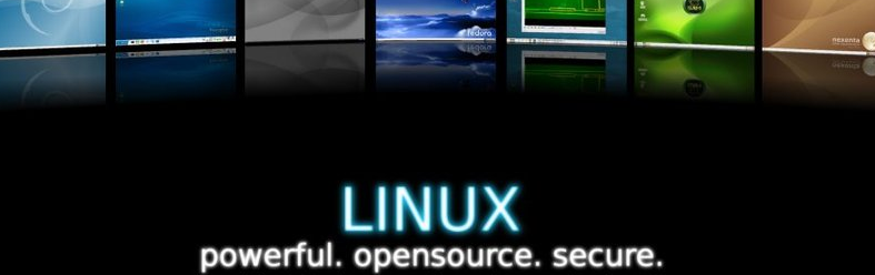 2013-10-30 16_42_02-Linux__where_dreams_come_true__by_Coronastx.jpg (900×720)